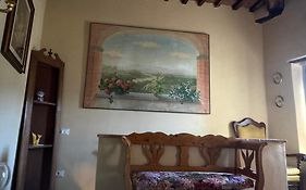 Tuscany Secret Garden In Versilia Camaiore