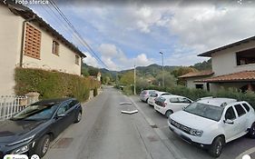 Tuscany Secret Garden In Versilia Camaiore